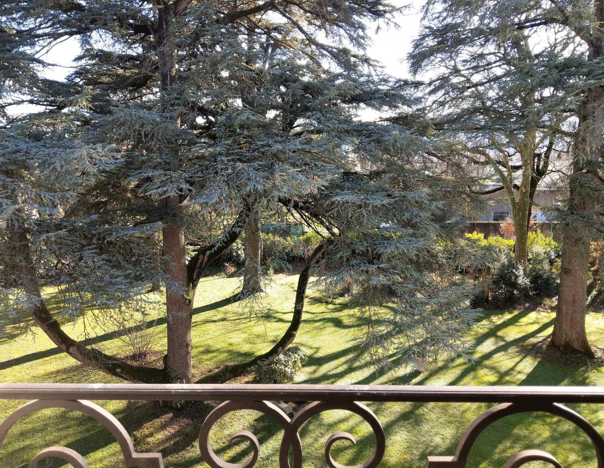Maison D'Hotes Le Parc Labruguière الغرفة الصورة